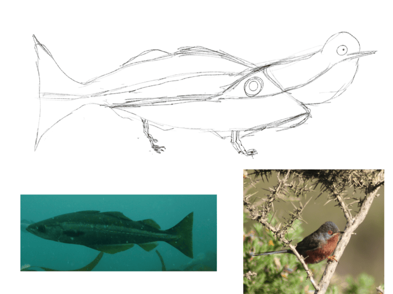 Day 89: Mix 02 – Bird Fish